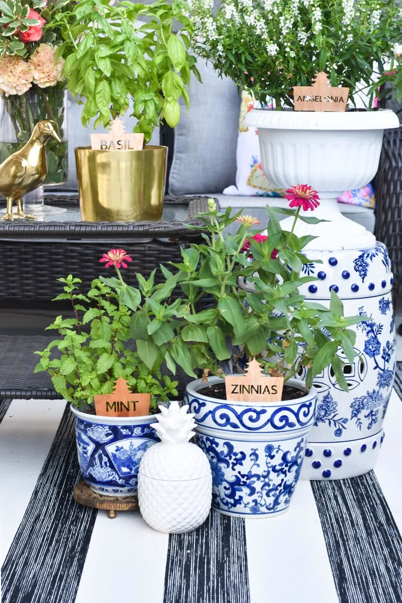 container garden ideas for a patio