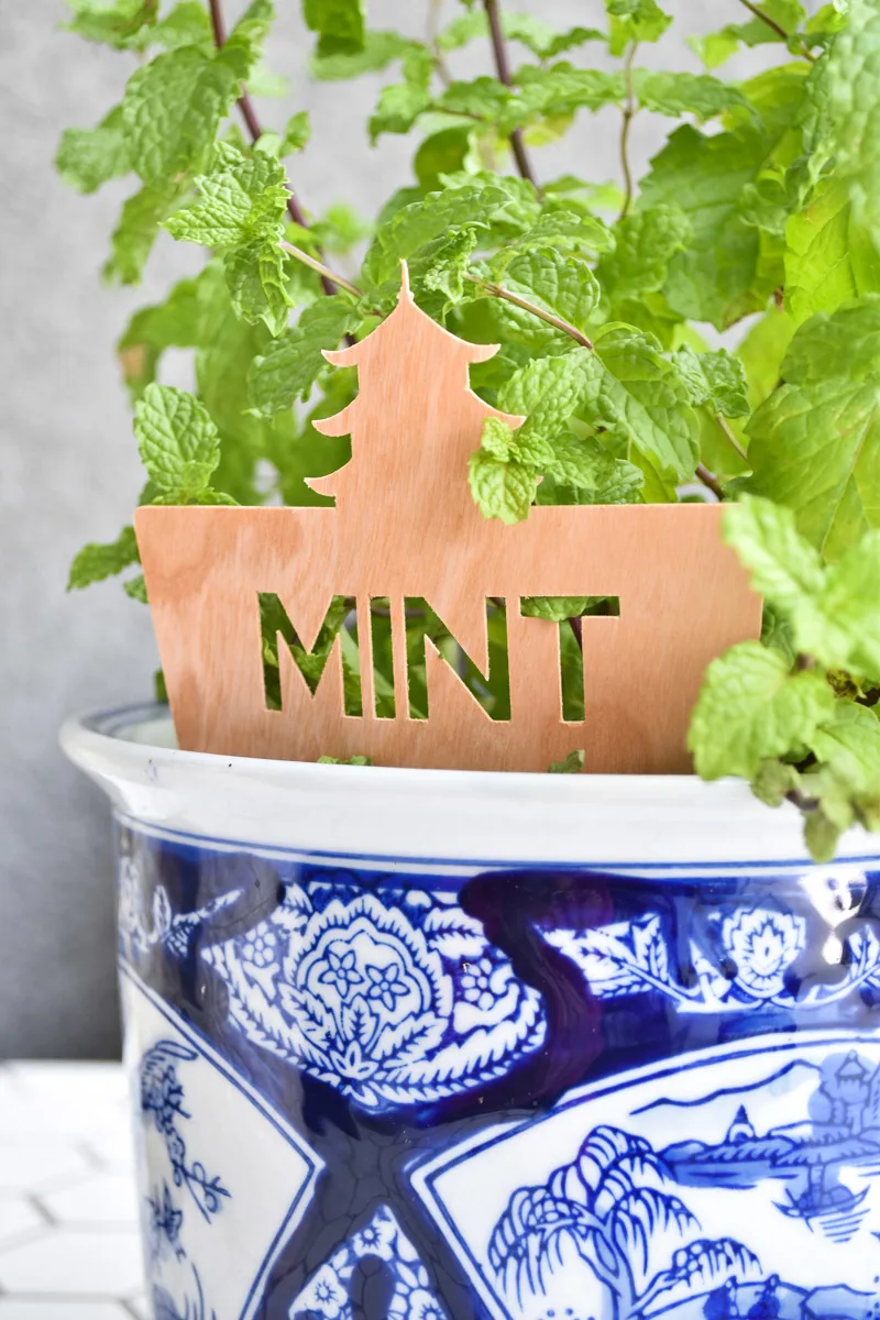 DIY garden markers for plants using the Cricut Maker and wood sheets