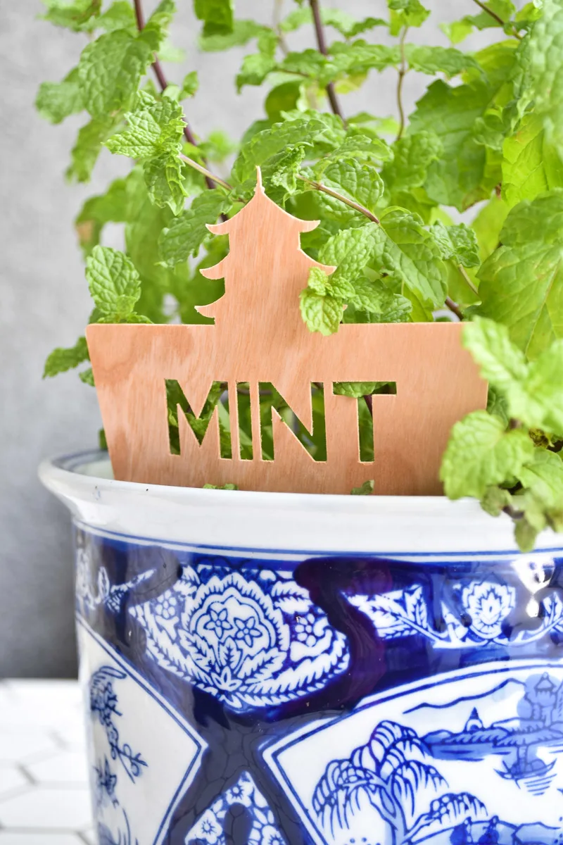 DIY Wooden Spoon Garden Markers - Plus 3 Easy Cricut Joy Projects